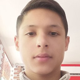 Shamshod, �����-���������, 26 ���