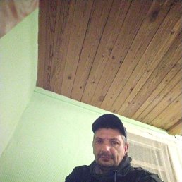 , 38 , 