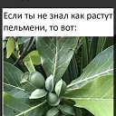 ���� ��������, ������, 65 ��� - ��������� 8 ��� 2026 � ������ �����������