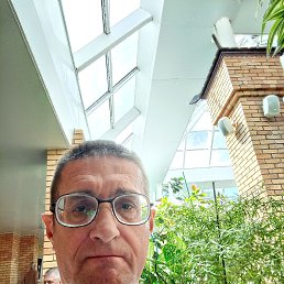 , 58 , 