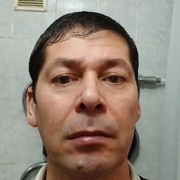 �����, ������, 49 ���