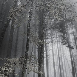 Ab, ������, 29 ���