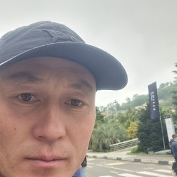 , 33, 