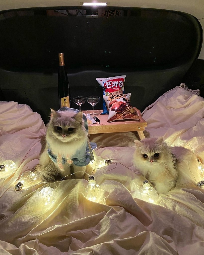 ��������� ����������� - 3