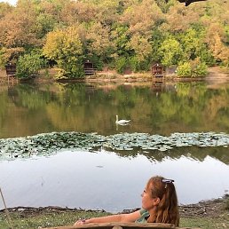 �������, �����������, 53 ����