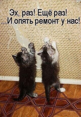 �����? ��, �� �������! - 24 ������� 2024 � 14:48