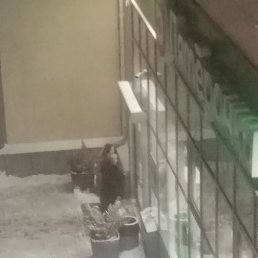 ���������, ������, 45 ���