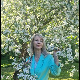 ���� �������, �����-��������� - ��������� 10 ������� 2025