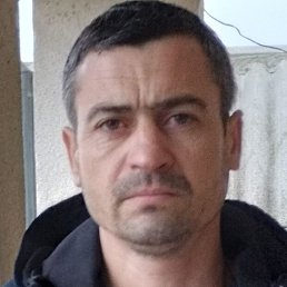 ��������, �������, 40 ���