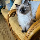 ���� Tina*, �������, 55 ��� - ��������� 20 ������ 2025 � ������ ������ ��������