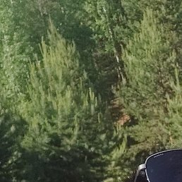 ���������, ������, 37 ���