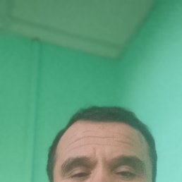 , 49, 