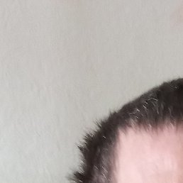 ����, ����, 42 ����