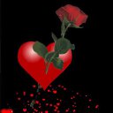 ���� �����, ������������ - ��������� 23 ������ 2026 � ������ ������