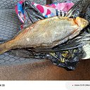 ���� ��������, ������, 65 ��� - ��������� 22 ����� 2026 � ������ ���� ����������