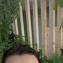 ���� ������, ������, 43 ���� - ��������� 23 ������ 2024