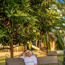 ������, ���������, 47 ���