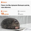 ���� �����, �����-��������� - ��������� 28 ������� 2025 � ������ ������ ��������