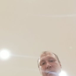  , 41, 
