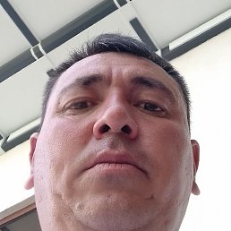 ���������� ����������, ������, 44 ����