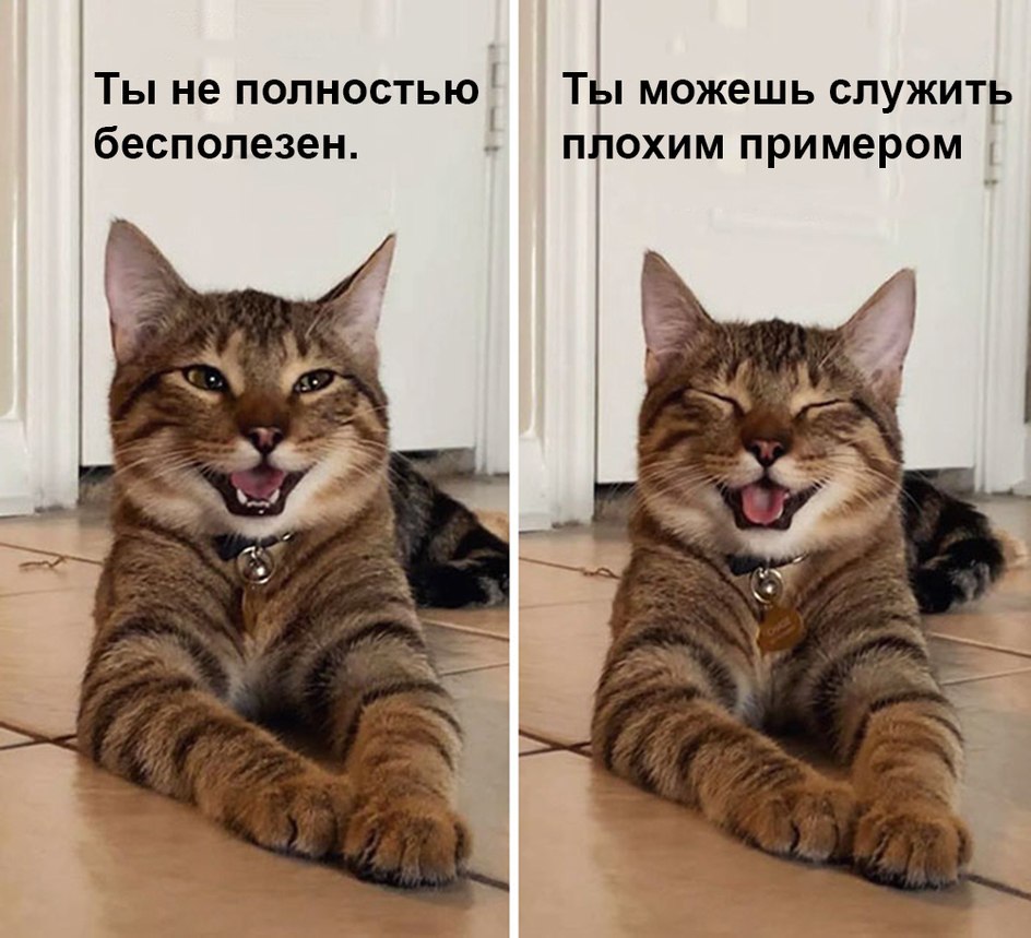   - 27  2025  19:02