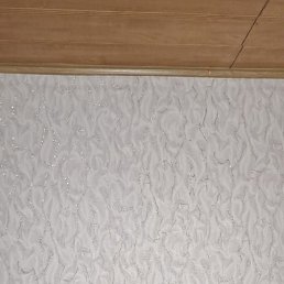, 41, 