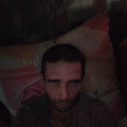 , 41, 