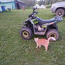���� ������, �����-���������, 52 ���� - ��������� 11 ������� 2026 � ������ ���� ����������