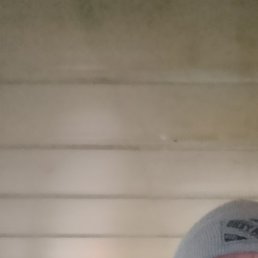 �������, ������, 42 ����