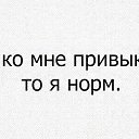 ���� Vlad, �������, 41 ��� - ��������� 12 �������� 2024 � ������ ���� ����������
