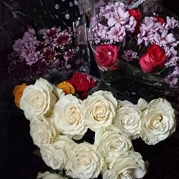 �����, �����, 26 ���