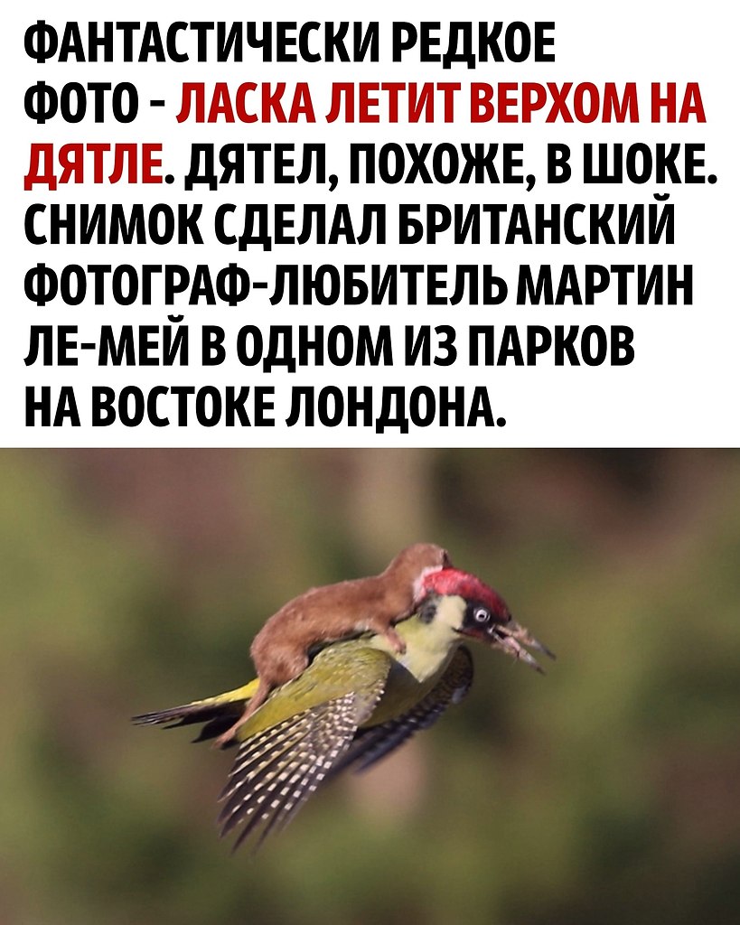 ����� ��� ����� � ����������