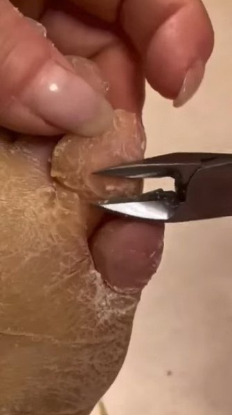 ����� �� ��� ������ ��������... - 2