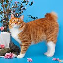 ���� �������, ���� - ��������� 18 ������ 2025