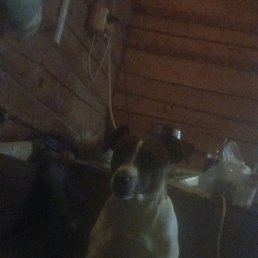 ���� ���������� ������, ������, 68 ��� - ��������� 16 ������ 2024