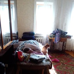 ���� ���� ������, ������, 21 ��� - ��������� 24 ������ 2024