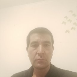 , 52, 