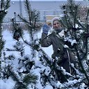 ���� �������, �����-���������, 66 ��� - ��������� 10 ������ 2026 � ������ ���� ����������
