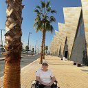 Dubai Harbour �� ������� ���� ����������