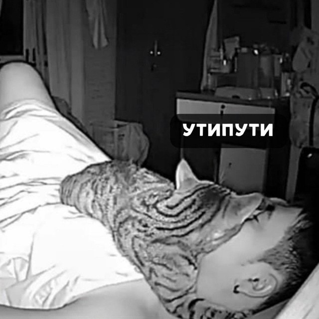 ������. - 8 ������� 2025 � 17:38 - 4