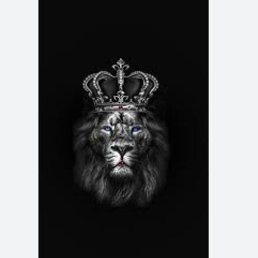 ����, ������, 41 ���