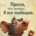 ���� ����, �������, 39 ��� - ��������� 8 ������� 2026 � ������ ������ ��������