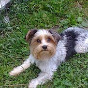 ������, 47 ���, ������