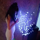 ���� ������, ���������, 36 ��� - ��������� 8 ��� 2025 � ������ ���� ����������