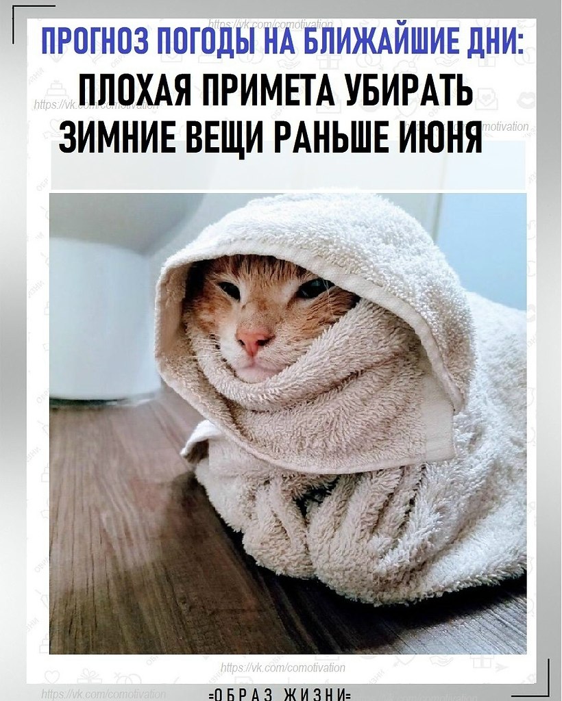 ����� ����� � ������ ���� � ���� � � ��� �� �����.