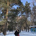 ���� �������, �����������, 67 ��� - ��������� 2 ������ 2024 � ������ ���� ����������