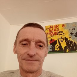 , 51 , 