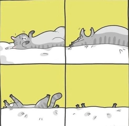  )