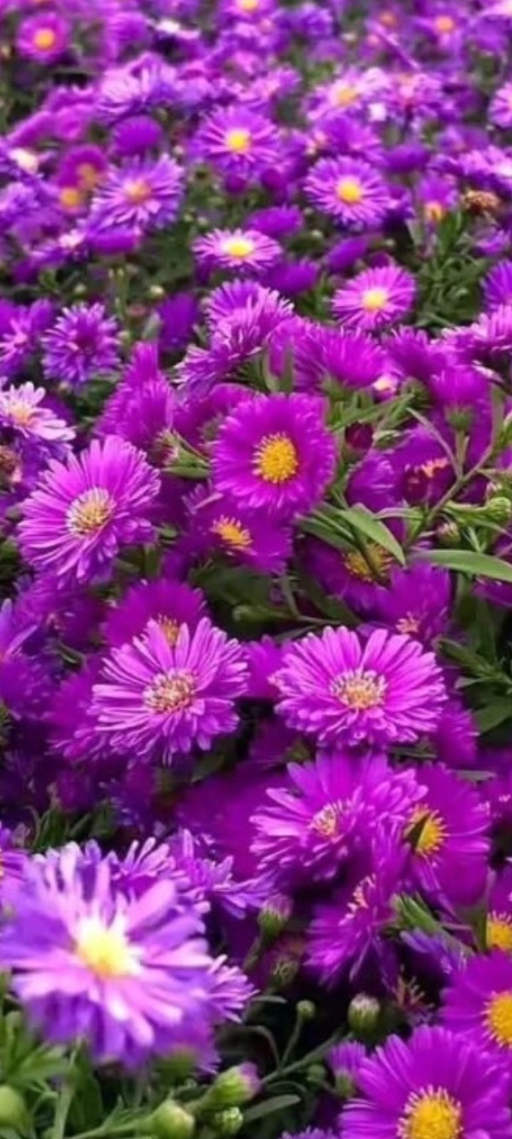 ������� - 5 ������� 2025 � 18:52