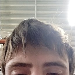 ���� ������, �����-���������, 31 ��� - ��������� 4 ������ 2024